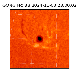 gong - 2024-11-03T23:00:02
