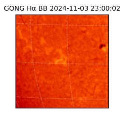 gong - 2024-11-03T23:00:02