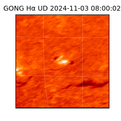 gong - 2024-11-03T08:00:02