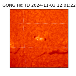 gong - 2024-11-03T12:01:22