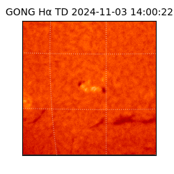 gong - 2024-11-03T14:00:22