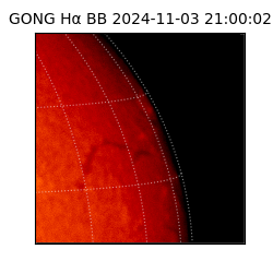 gong - 2024-11-03T21:00:02