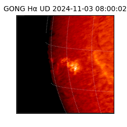 gong - 2024-11-03T08:00:02