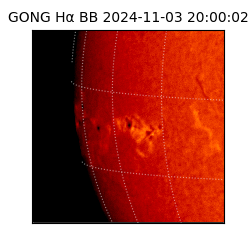 gong - 2024-11-03T20:00:02