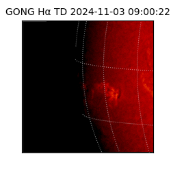 gong - 2024-11-03T09:00:22