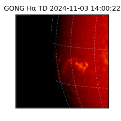 gong - 2024-11-03T14:00:22