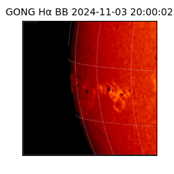 gong - 2024-11-03T20:00:02