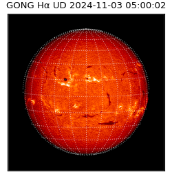 gong - 2024-11-03T05:00:02