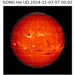 gong - 2024-11-03T07:00:02