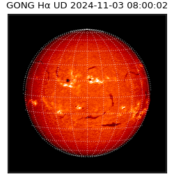 gong - 2024-11-03T08:00:02