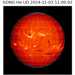 gong - 2024-11-03T11:00:02