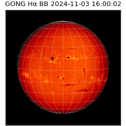gong - 2024-11-03T16:00:02
