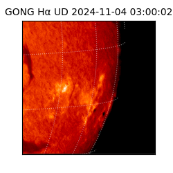 gong - 2024-11-04T03:00:02