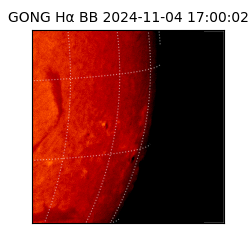 gong - 2024-11-04T17:00:02