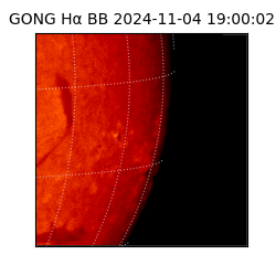 gong - 2024-11-04T19:00:02