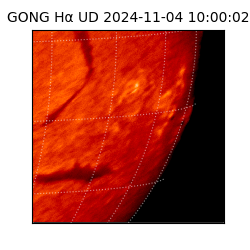 gong - 2024-11-04T10:00:02