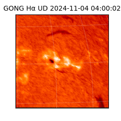 gong - 2024-11-04T04:00:02