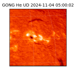 gong - 2024-11-04T05:00:02