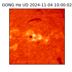 gong - 2024-11-04T10:00:02