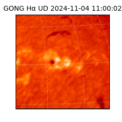 gong - 2024-11-04T11:00:02