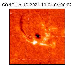 gong - 2024-11-04T04:00:02