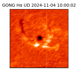 gong - 2024-11-04T10:00:02