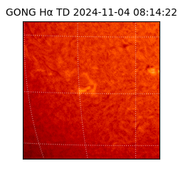 gong - 2024-11-04T08:14:22