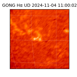 gong - 2024-11-04T11:00:02