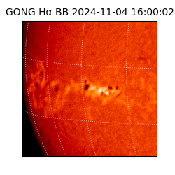 gong - 2024-11-04T16:00:02