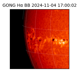gong - 2024-11-04T17:00:02