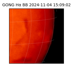 gong - 2024-11-04T15:09:02