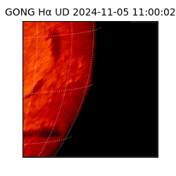 gong - 2024-11-05T11:00:02