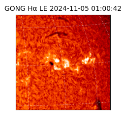 gong - 2024-11-05T01:00:42