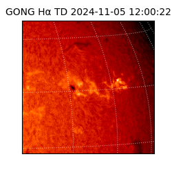 gong - 2024-11-05T12:00:22
