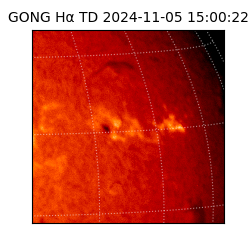 gong - 2024-11-05T15:00:22