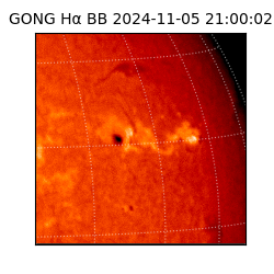 gong - 2024-11-05T21:00:02