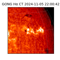 gong - 2024-11-05T22:00:42