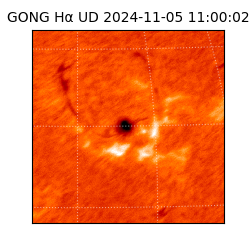 gong - 2024-11-05T11:00:02