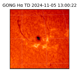 gong - 2024-11-05T13:00:22