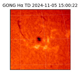 gong - 2024-11-05T15:00:22