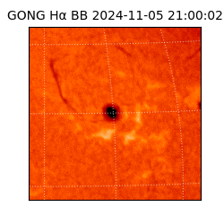 gong - 2024-11-05T21:00:02