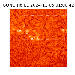gong - 2024-11-05T01:00:42