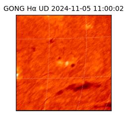 gong - 2024-11-05T11:00:02