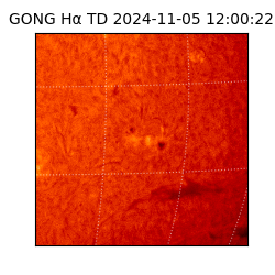 gong - 2024-11-05T12:00:22