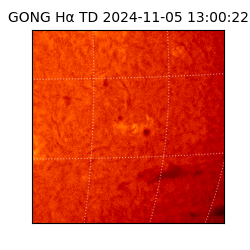 gong - 2024-11-05T13:00:22