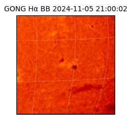 gong - 2024-11-05T21:00:02