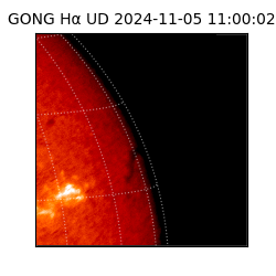 gong - 2024-11-05T11:00:02