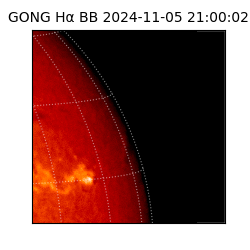 gong - 2024-11-05T21:00:02