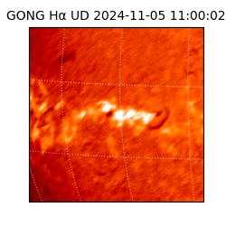 gong - 2024-11-05T11:00:02