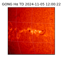 gong - 2024-11-05T12:00:22